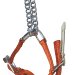 Nylon Choker Collar for Dog