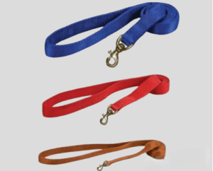 Zealpets Double Nylon Leash for Dogs